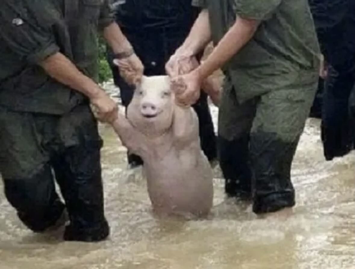 ₿itcoin hodler⚡️ tweet media