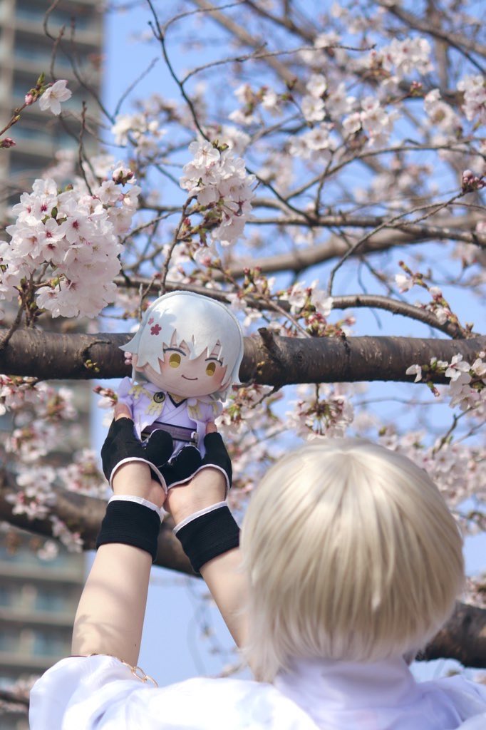 _mol_cos's tweet photo. cosおもひで
桜イベントでしたー🌸
去年はダメだったけど、今年は快晴で桜いっぱいでした✨️
お声がけいただいた方ありがとうございました！嬉しかったです🙇‍♀️
そして何より同行者、カメラももちろんだけど介護状態を物理的に支えてくれて大変助かりました…ありがとう…😭
 #コスオール https://t.co/IoLMTRwLPO