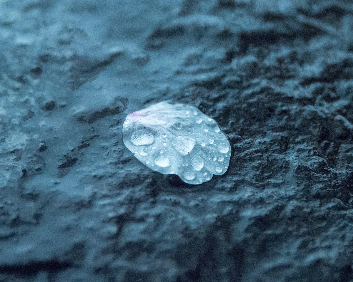 📸그냥형 tweet media