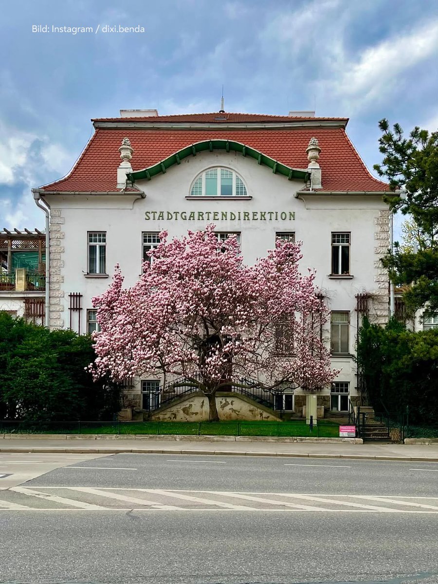 Stadt Wien tweet media
