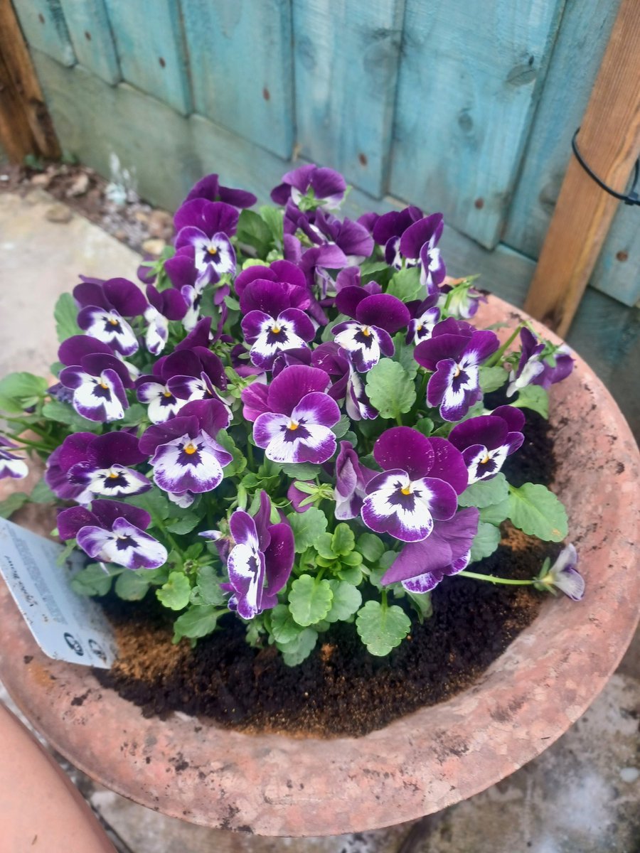 Jen Blight tweet media