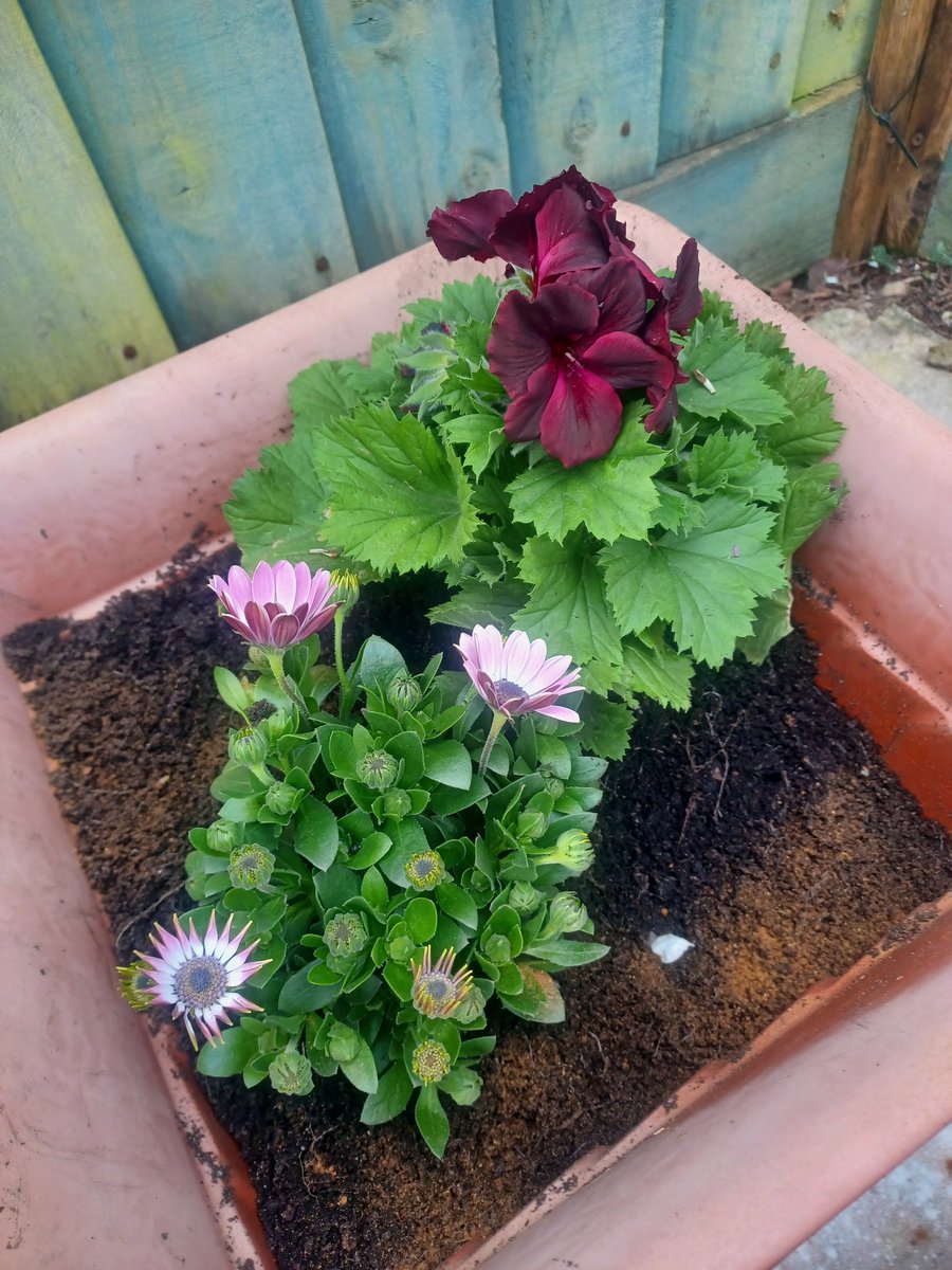 Jen Blight tweet media