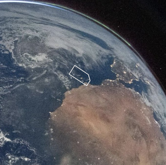 Miguel Decepción tweet media