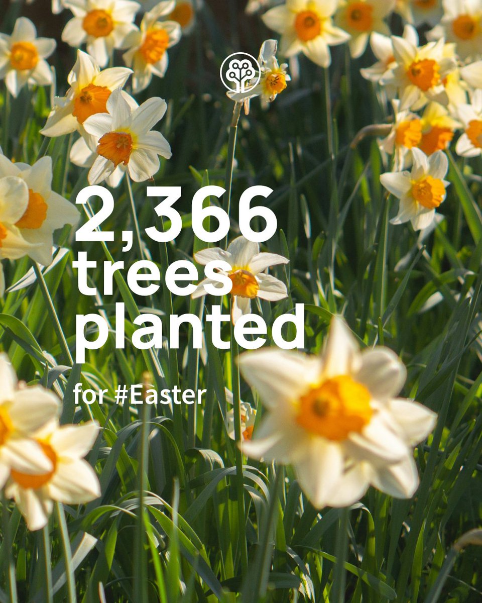 Tree-Nation tweet media