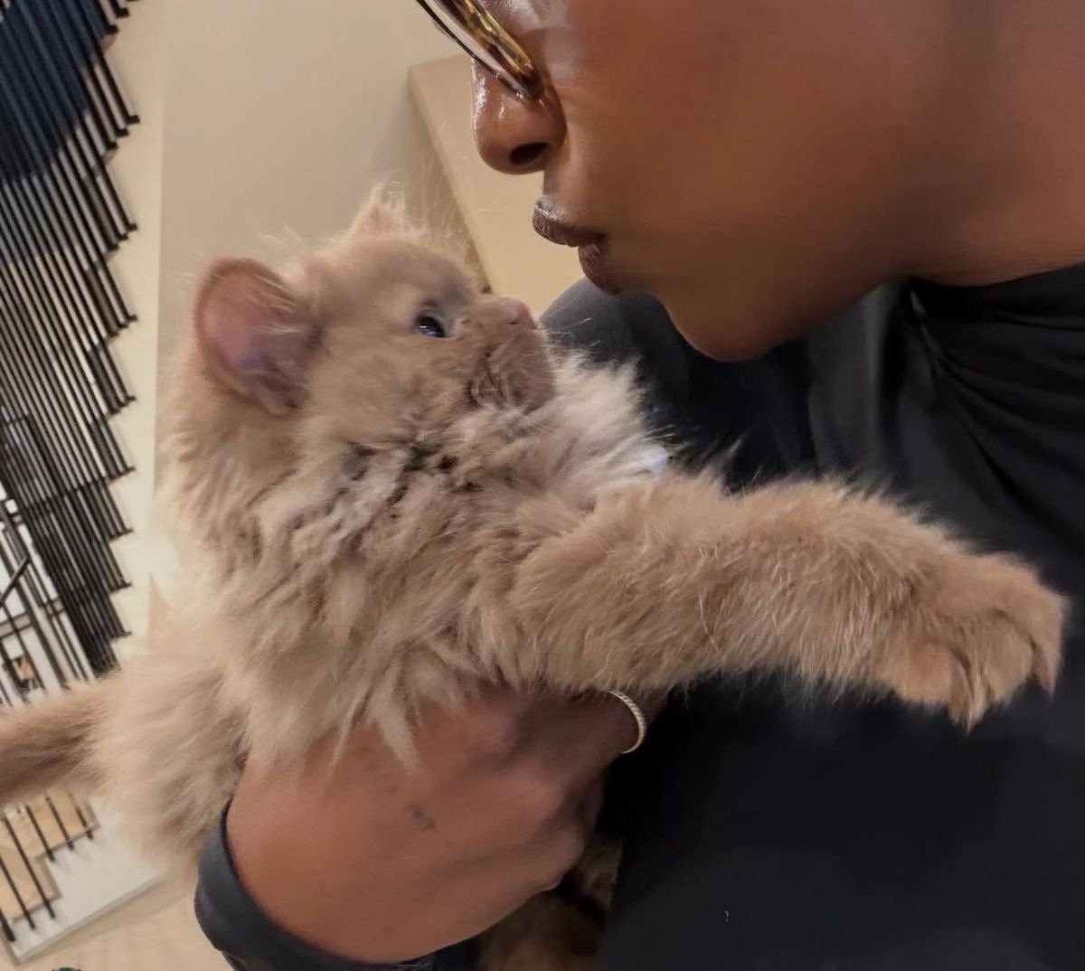 the culture | magazine tweet media