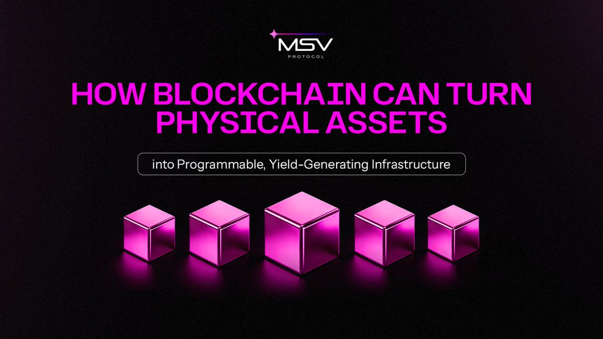 MSV Protocol tweet media