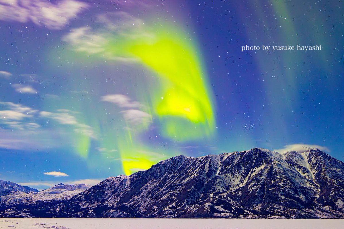 林祐介 自然写真家 / Youtube33000人 tweet media