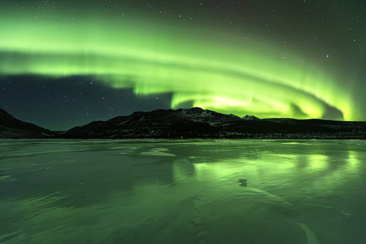 林祐介 自然写真家 / Youtube33000人 tweet media