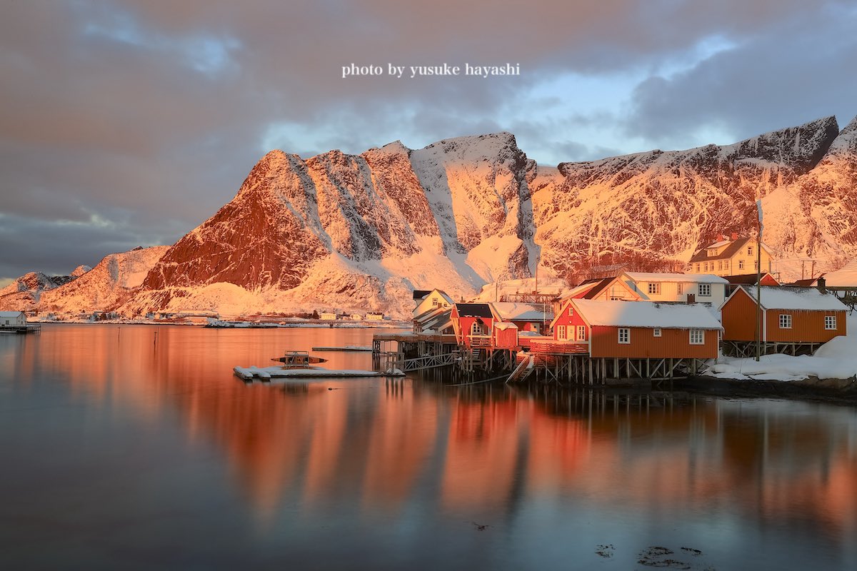 林祐介 自然写真家 / Youtube33000人 tweet media