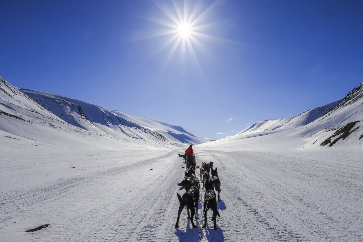 林祐介 自然写真家 / Youtube33000人 tweet media