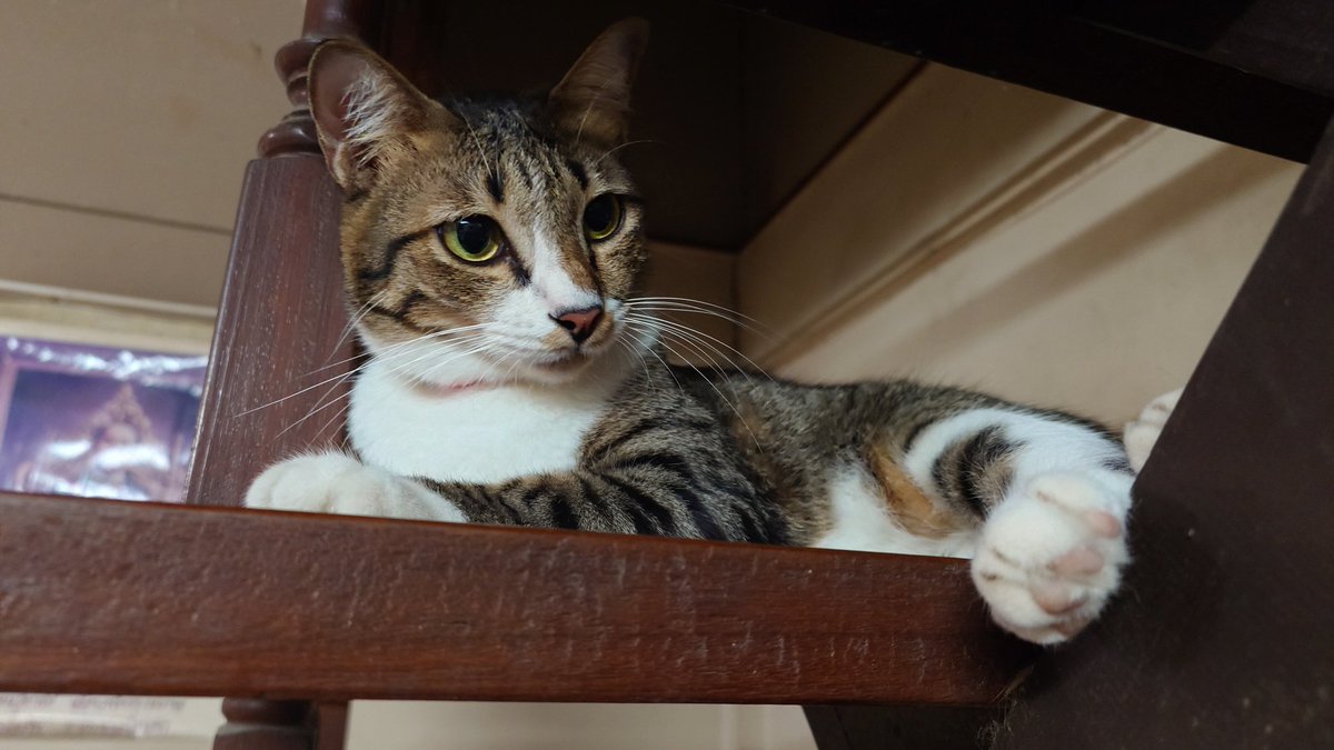 Moverine tweet media