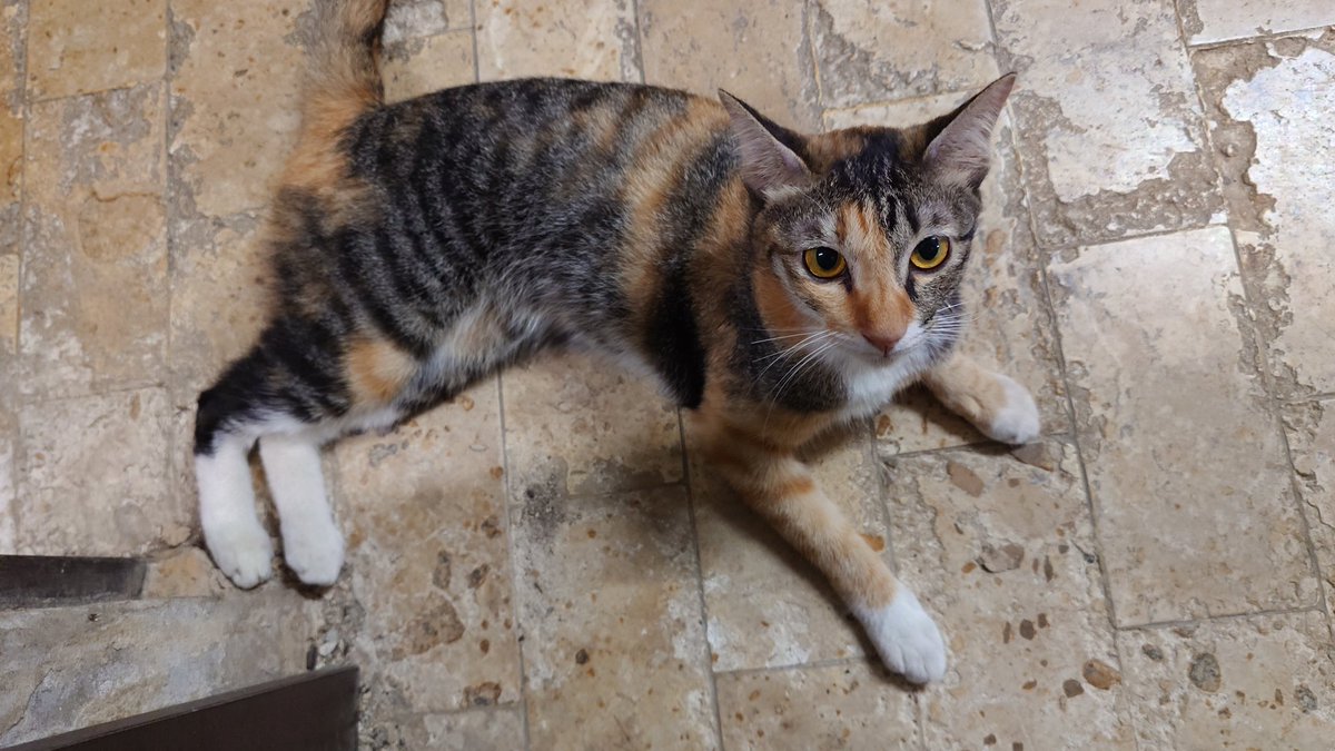 Moverine tweet media