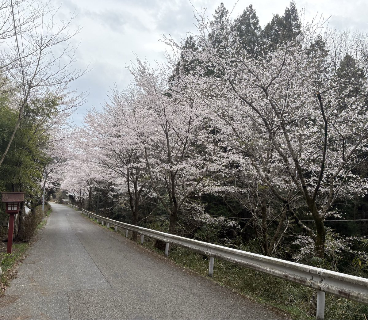 もっちー@4/19かすみがうらマラソン tweet media