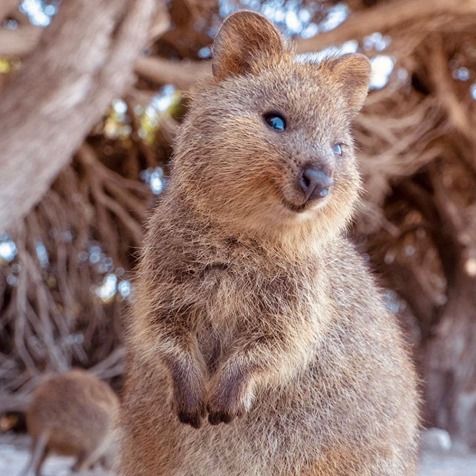 O_ops! 💌 tweet media