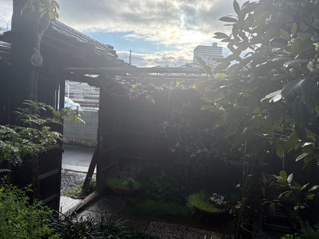 スロウな本屋 tweet media