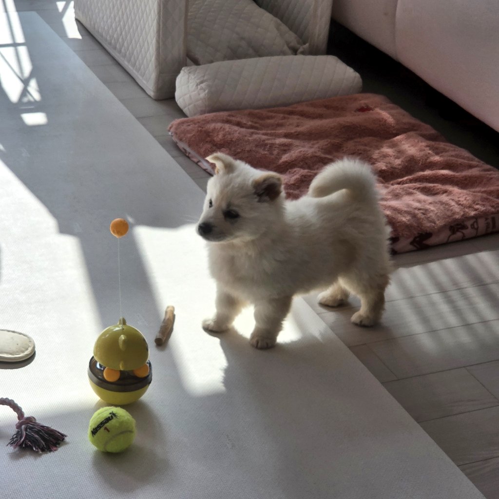 김미르의 성장일지 tweet media