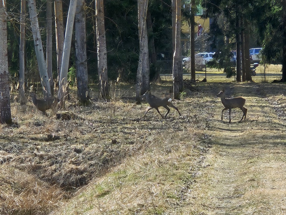 Martins Sitcs tweet media