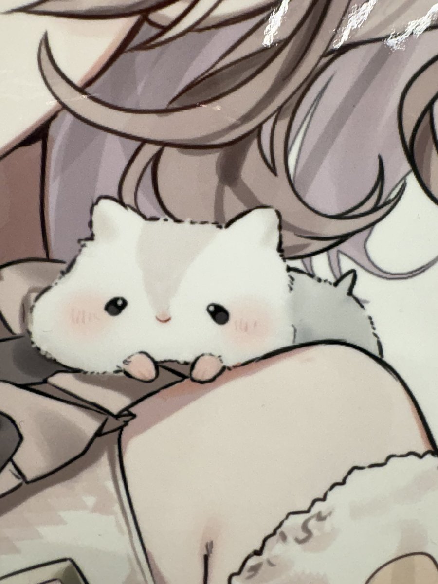 AERU運営スタッフ tweet media