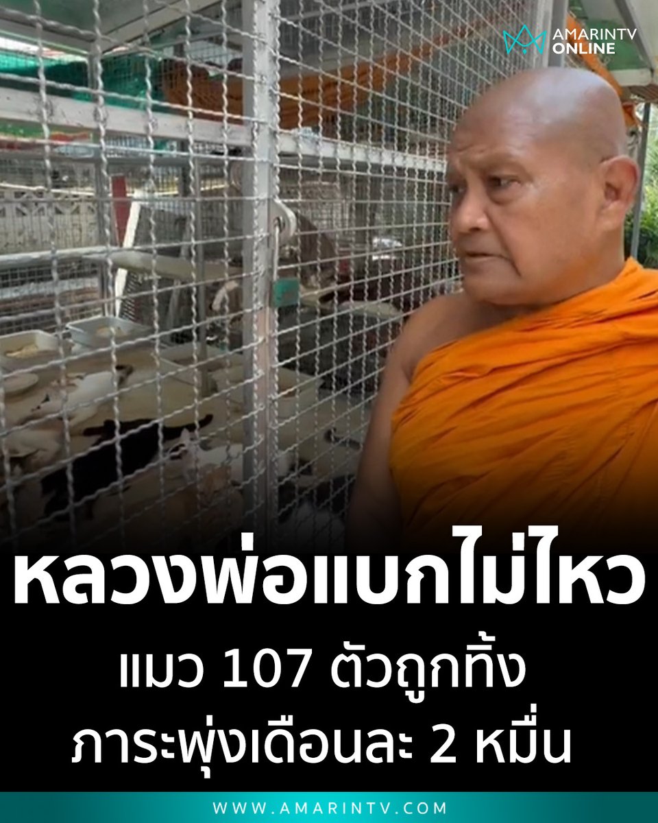 AmarinTV34 tweet media