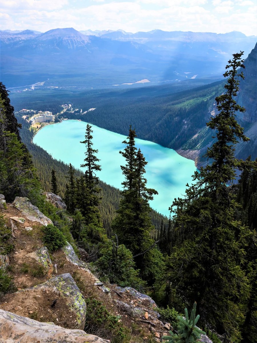 N A T U R E tweet media