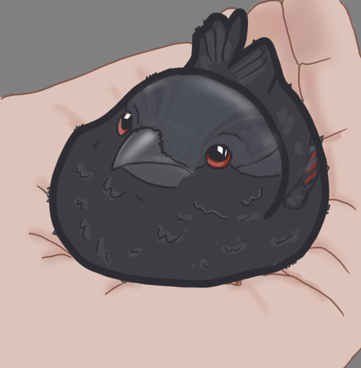 sharon✨️🍥💫 tweet media