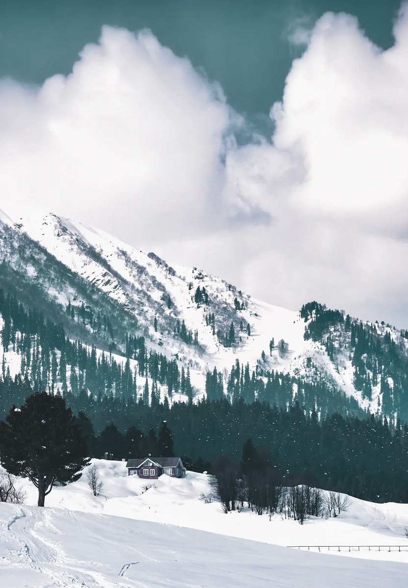 Shillandia.6529 tweet media