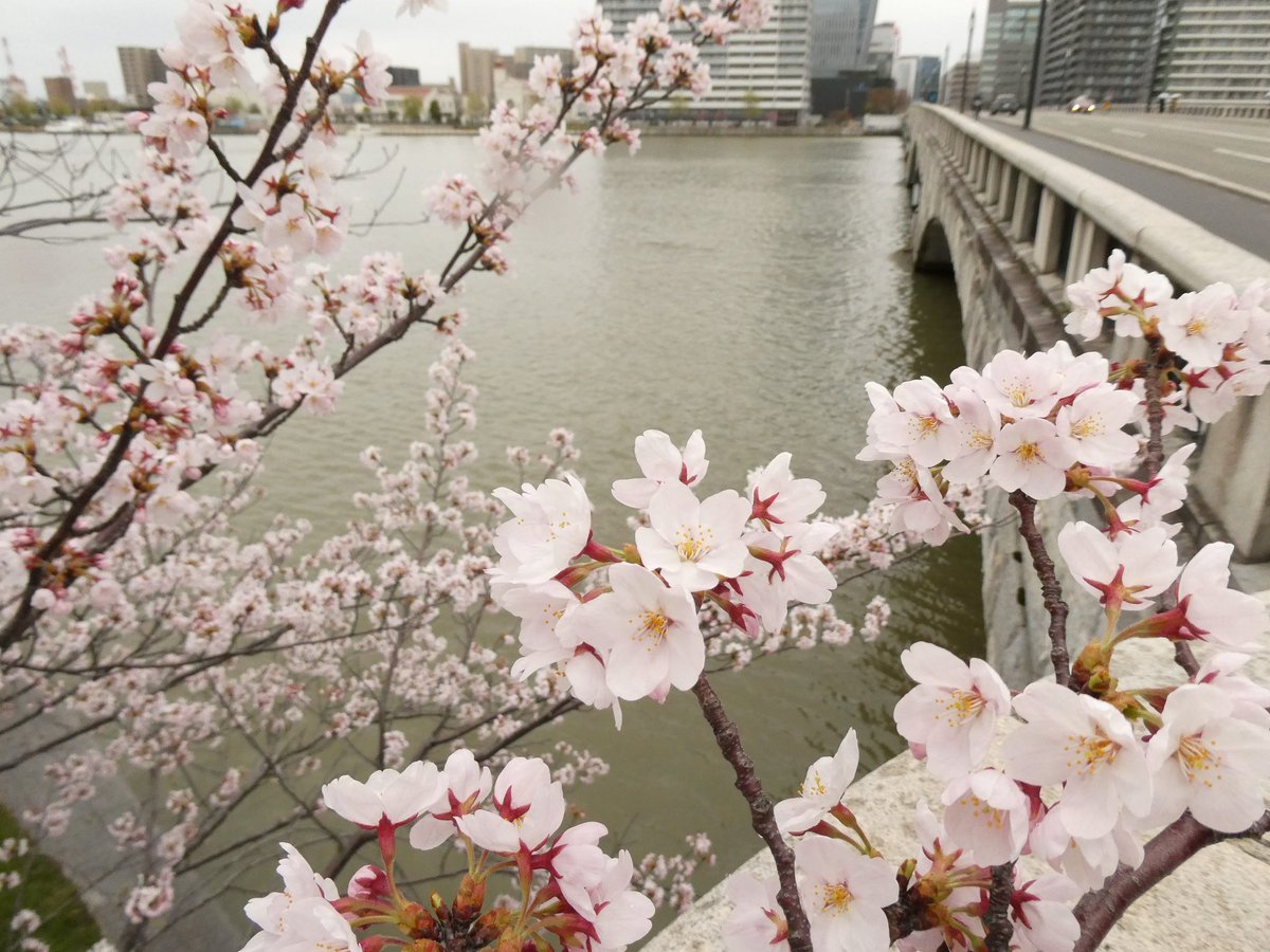 まるの@龍神池の底 tweet media