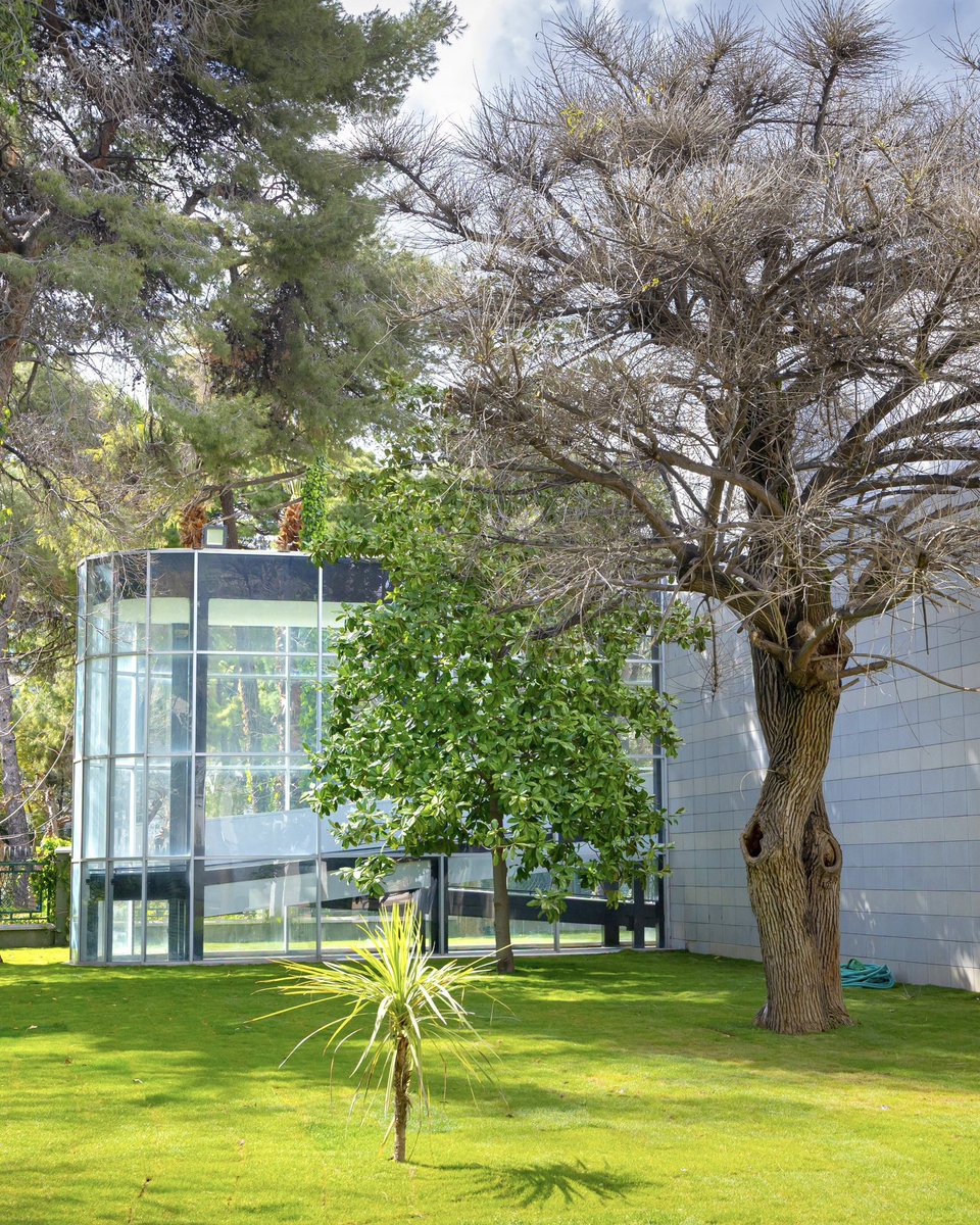 Dr. Cemil Tugay tweet media