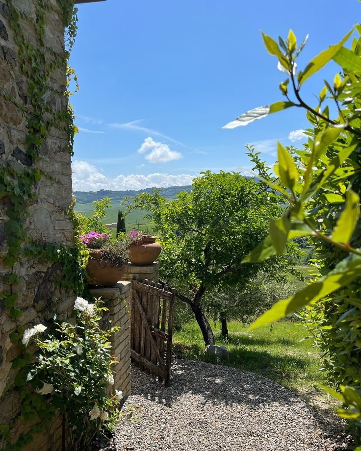 MagnificaLounge's tweet image. Bonjour...📷@echoesofworld 
#Tuscany #Italy #nature #green #love