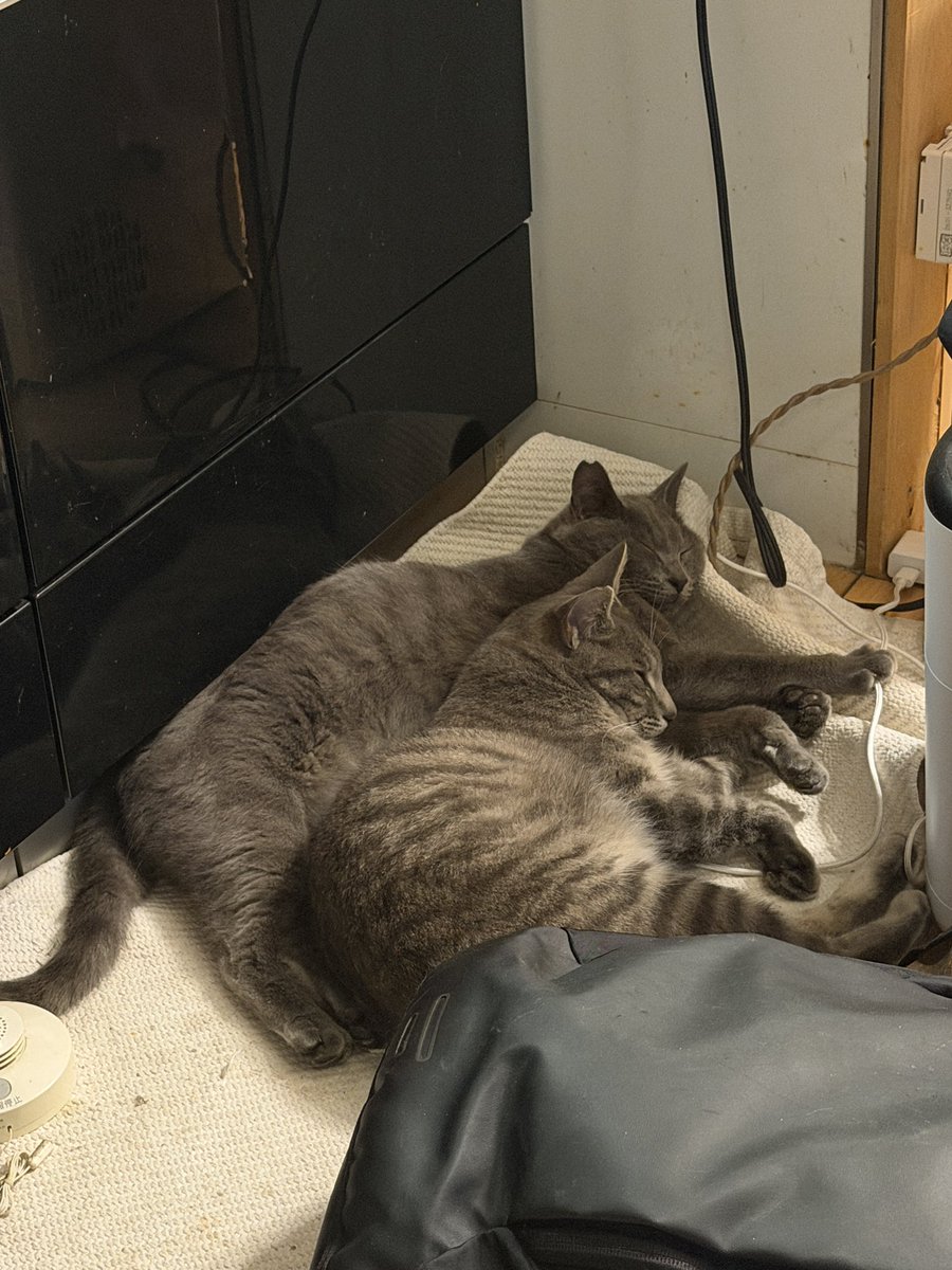 yo_hey_ito tweet media