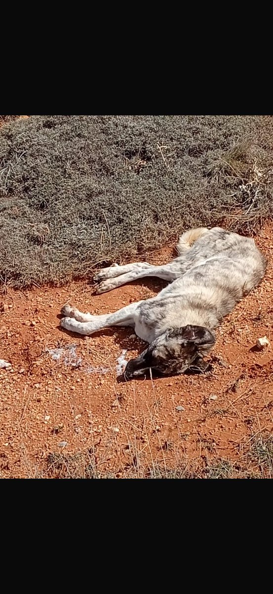 Deacon Frost ރ tweet media