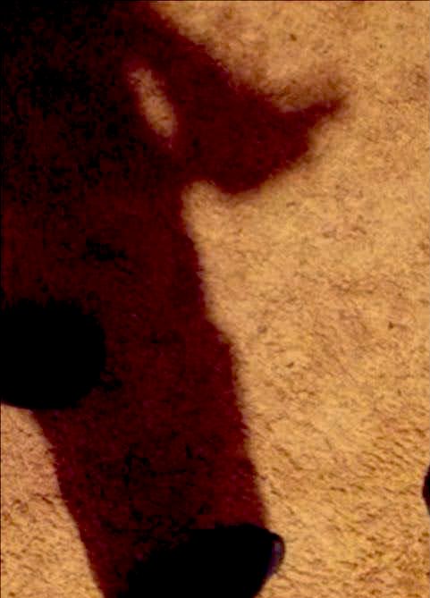 jahizluv's tweet photo. HMU for full length 🍆 videos and 🍆 pics
#bbc #bigblackcock #bbcock #hung #longdick #dingaling #cockworship #bigdick #mandingo https://t.co/g4FNnXduj6