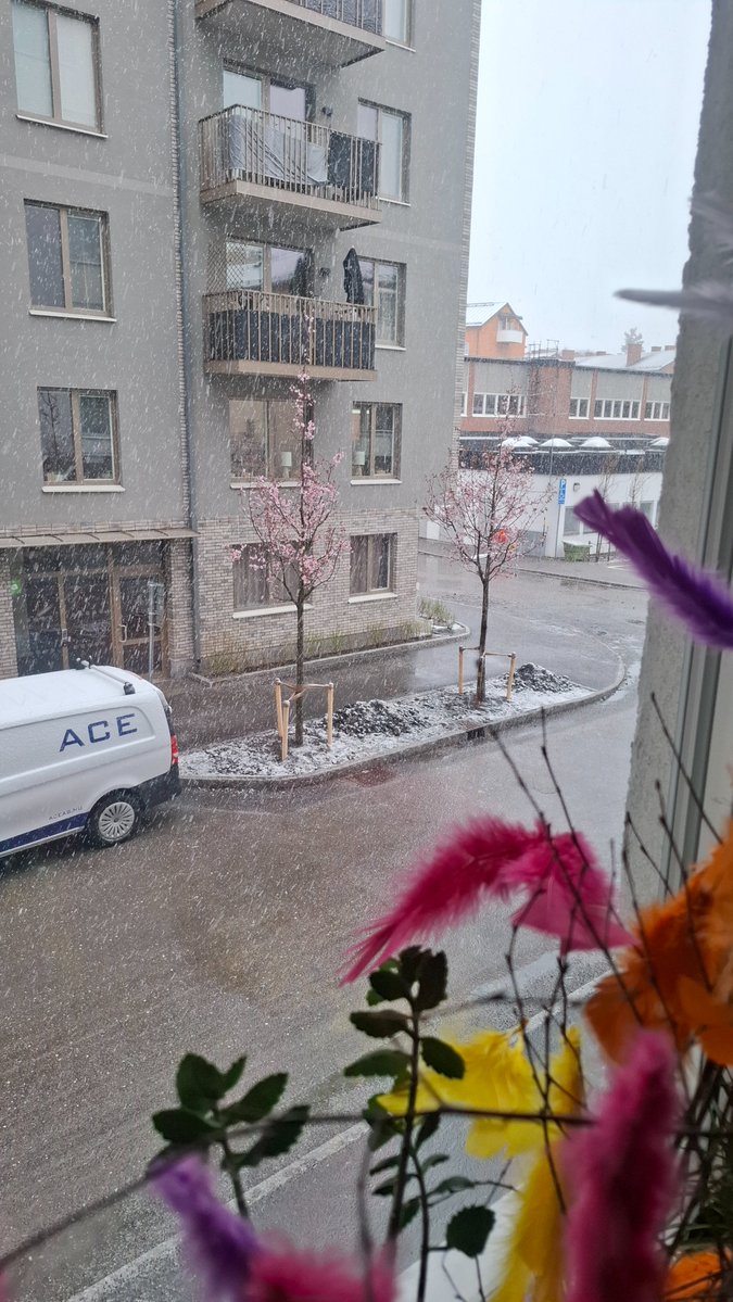 vad?kut! tweet media