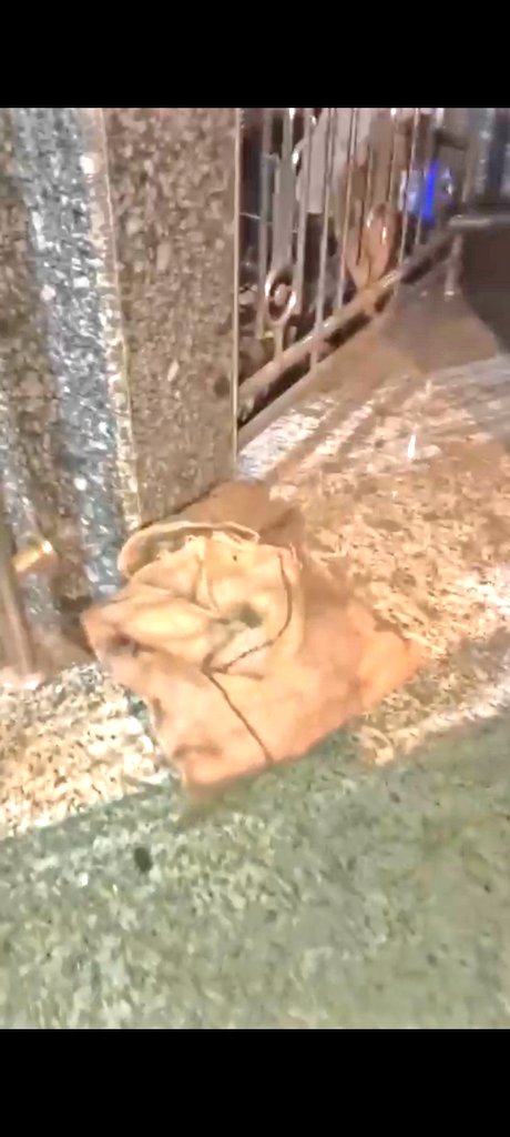 mid_waytimes's tweet image. While #hawkers runs a parallel government on #footpaths, the real @BJP4India government is busy playing statue. #Shame on this entire circus.

#Hawkers in control on the streets, authorities in control of excuses. Perfect balance, right?
@VidyaThakurBJP @PillaiSrikala @TawdeRitu