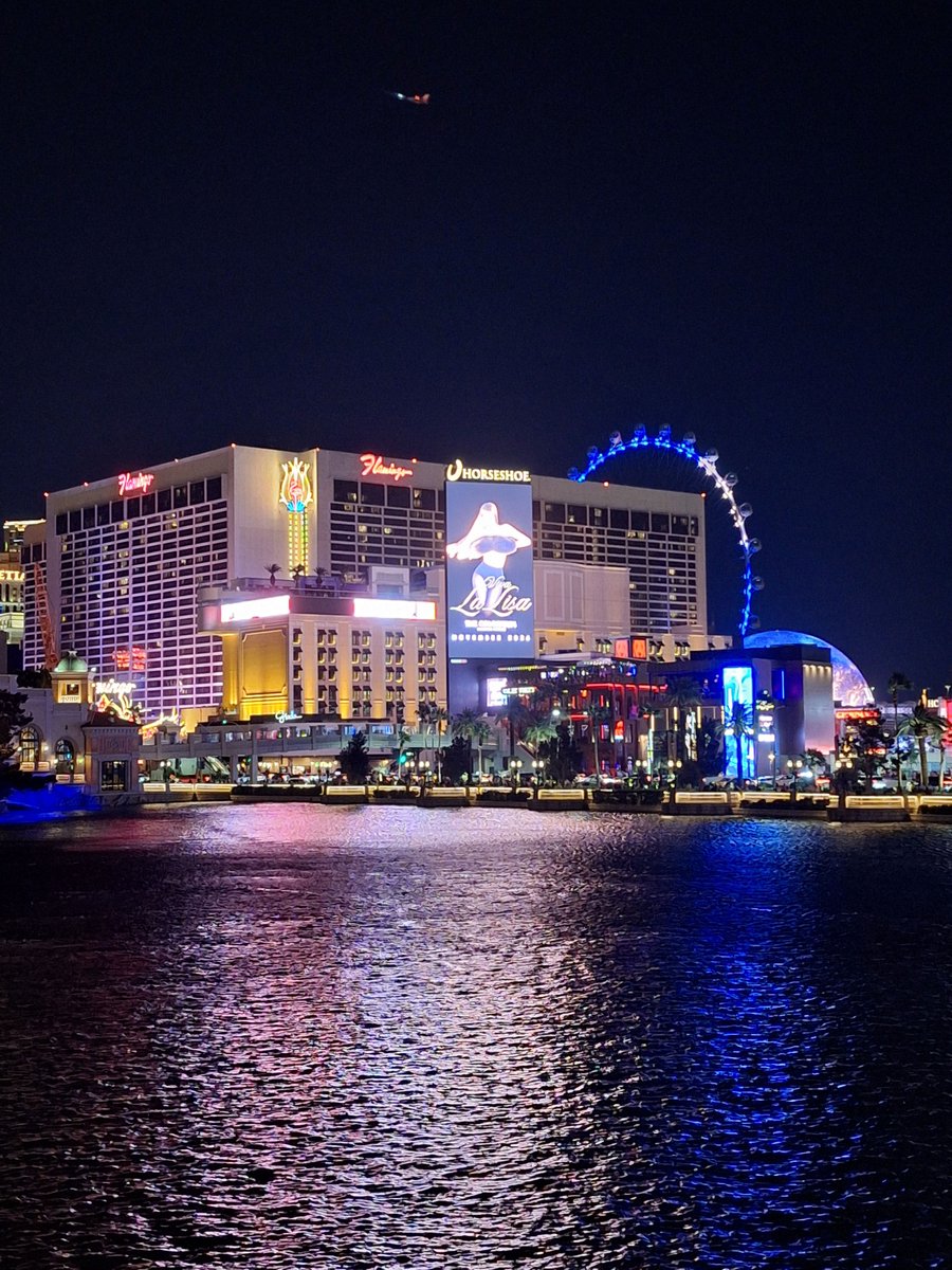 𝐿𝑒𝒾 🫶³²⁷🦎#RespectLISA tweet media