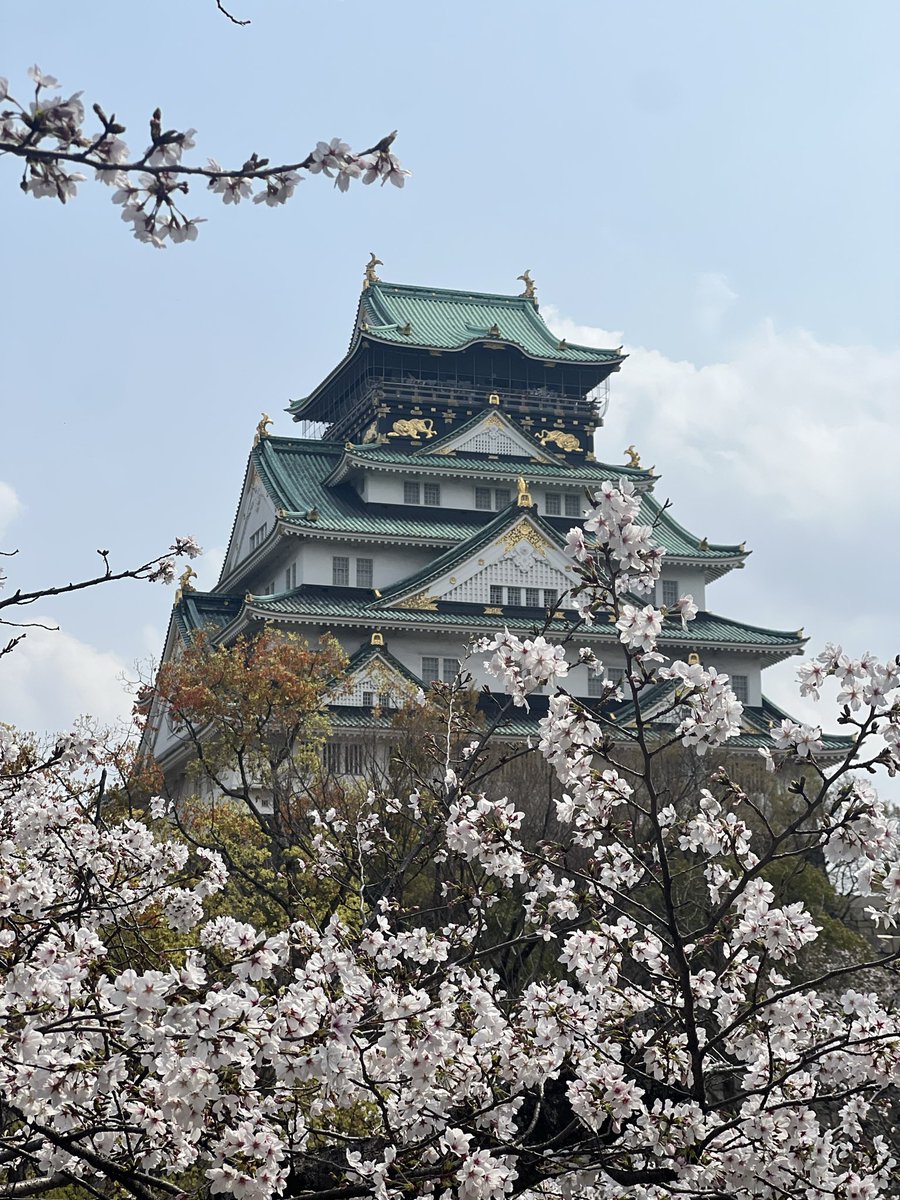 Nathan, Keeper of Tales tweet media