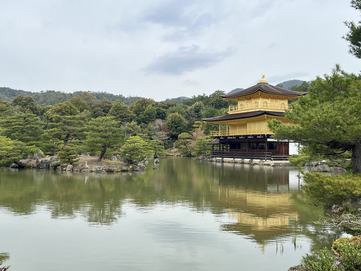 Nathan, Keeper of Tales tweet media