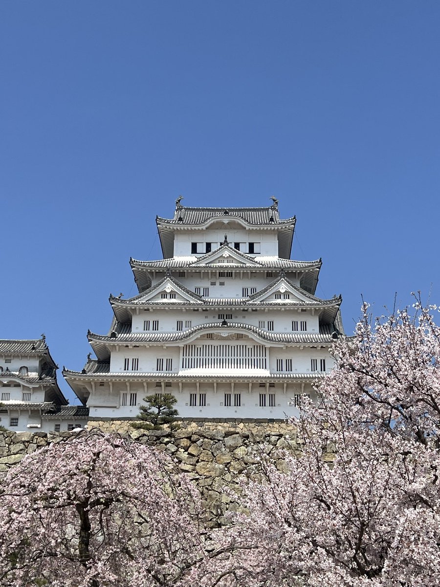 Nathan, Keeper of Tales tweet media