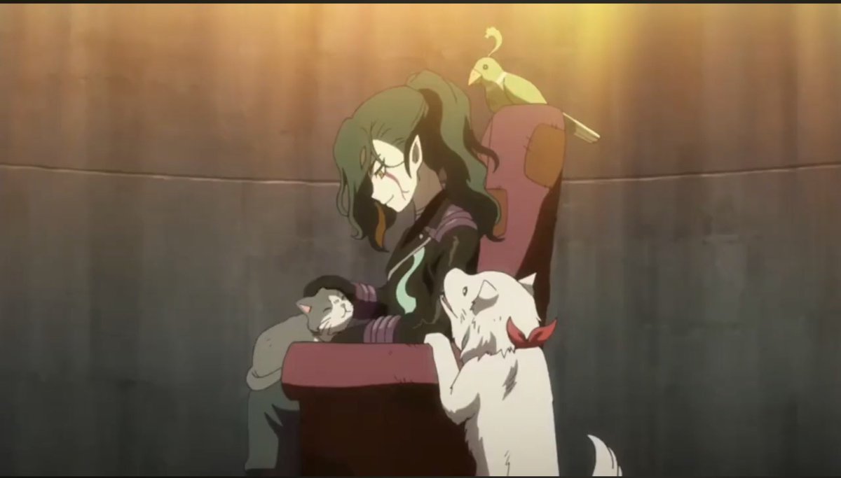 シナめぐ tweet media