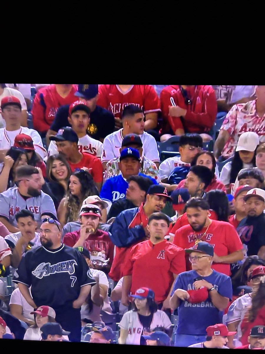 Bleacher Bastards tweet media