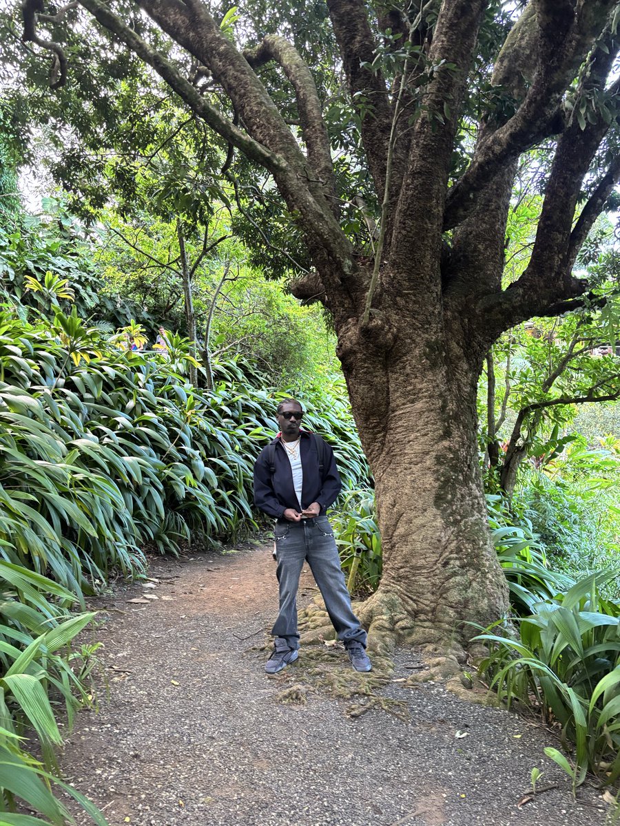 Bruce Ray tweet media