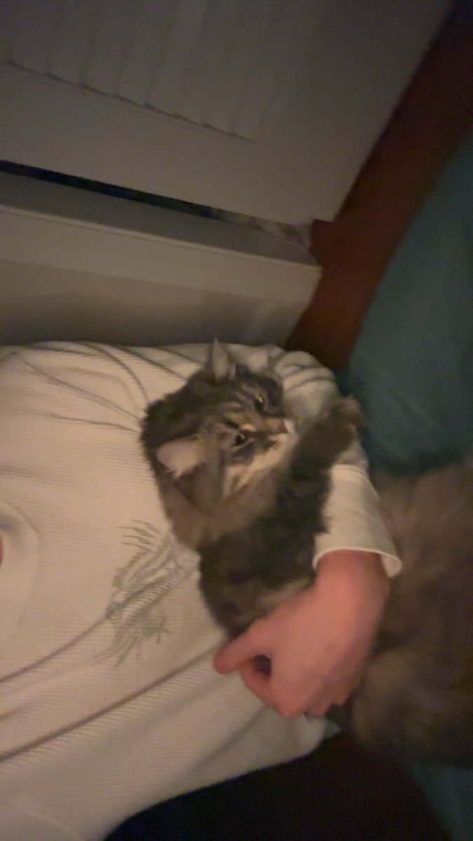 andrewskiiiiii tweet media