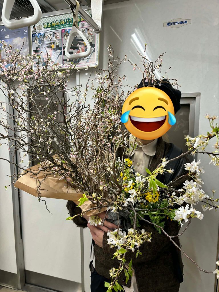 sptreeeeee's tweet photo. 昨日桜をもらって帰ってる途中に
本当にたまたま駅で知り合いにあって
ヤバいやつだ、と思ったら知ってる人でびっくりしたと言われた図がこちらです。 https://t.co/WWtVmm5a7W
