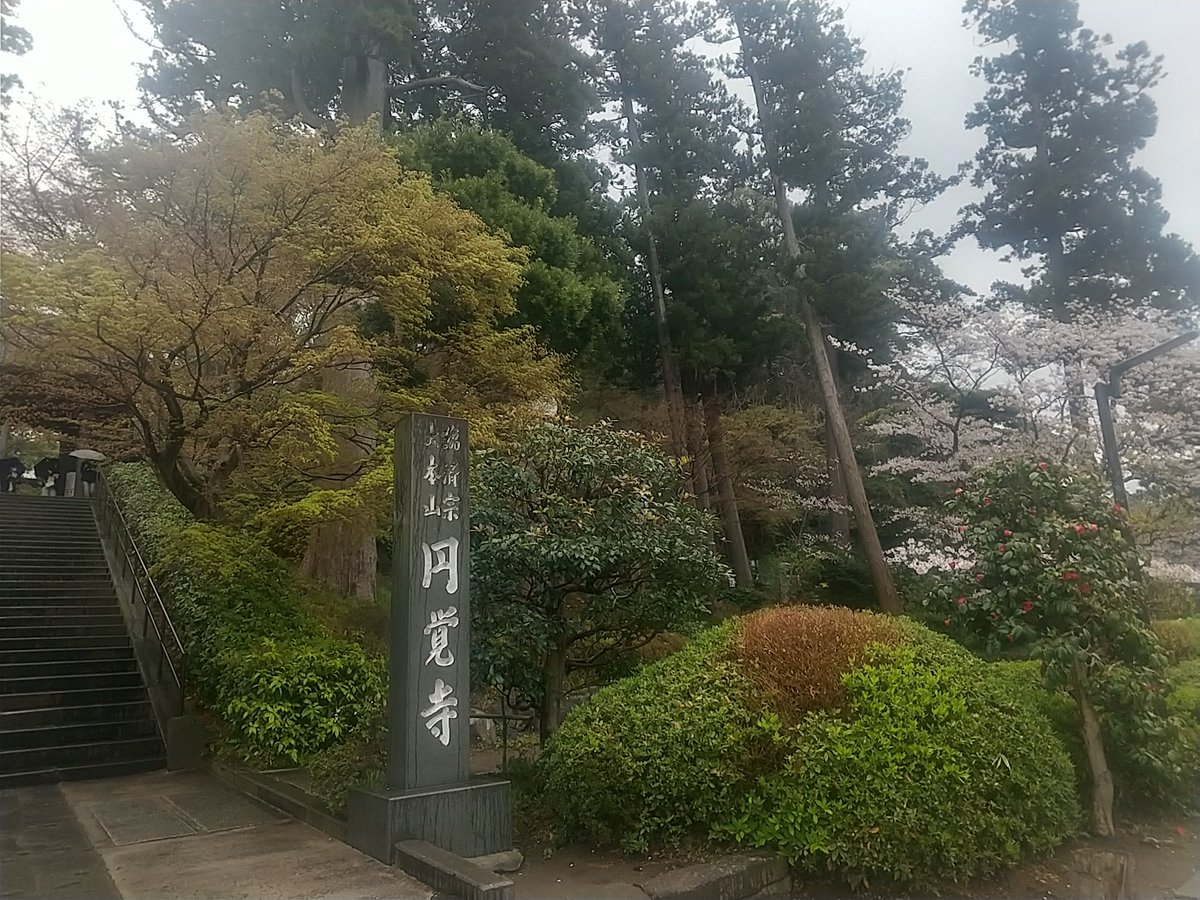 kitakamadoll's tweet photo. 2日目です。
北鎌倉駅と円覚寺の桜は今が満開です。ウグイスの声もちらほら。
明月院から奥へ少し歩いて堂祖神が見えたらすぐです。
#春ノ宴
#ギャラリー月
#北鎌倉 https://t.co/0tHjzNKCsL