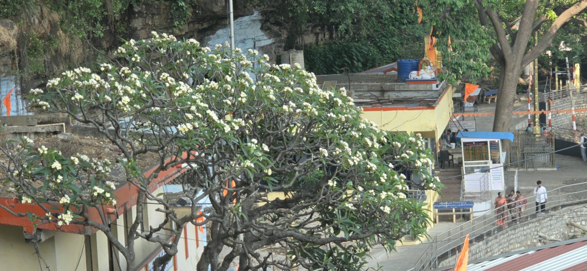 vamshitweet's tweet image. Telephoto, Wide Angle, Raw. Which one looks good ? #S26Ultra