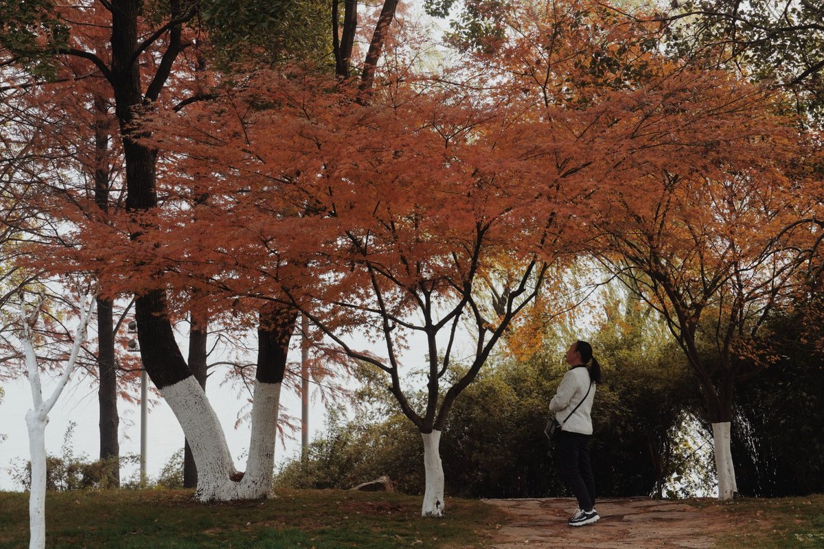 Prosper Stacks tweet media