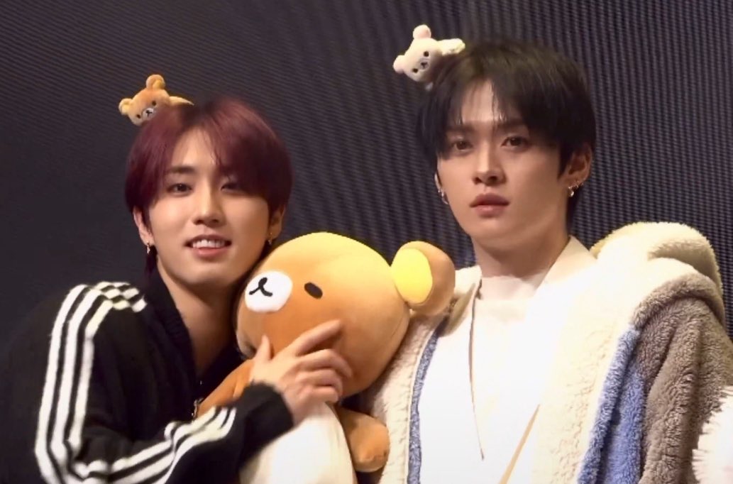 찌릿찌릿 tweet media