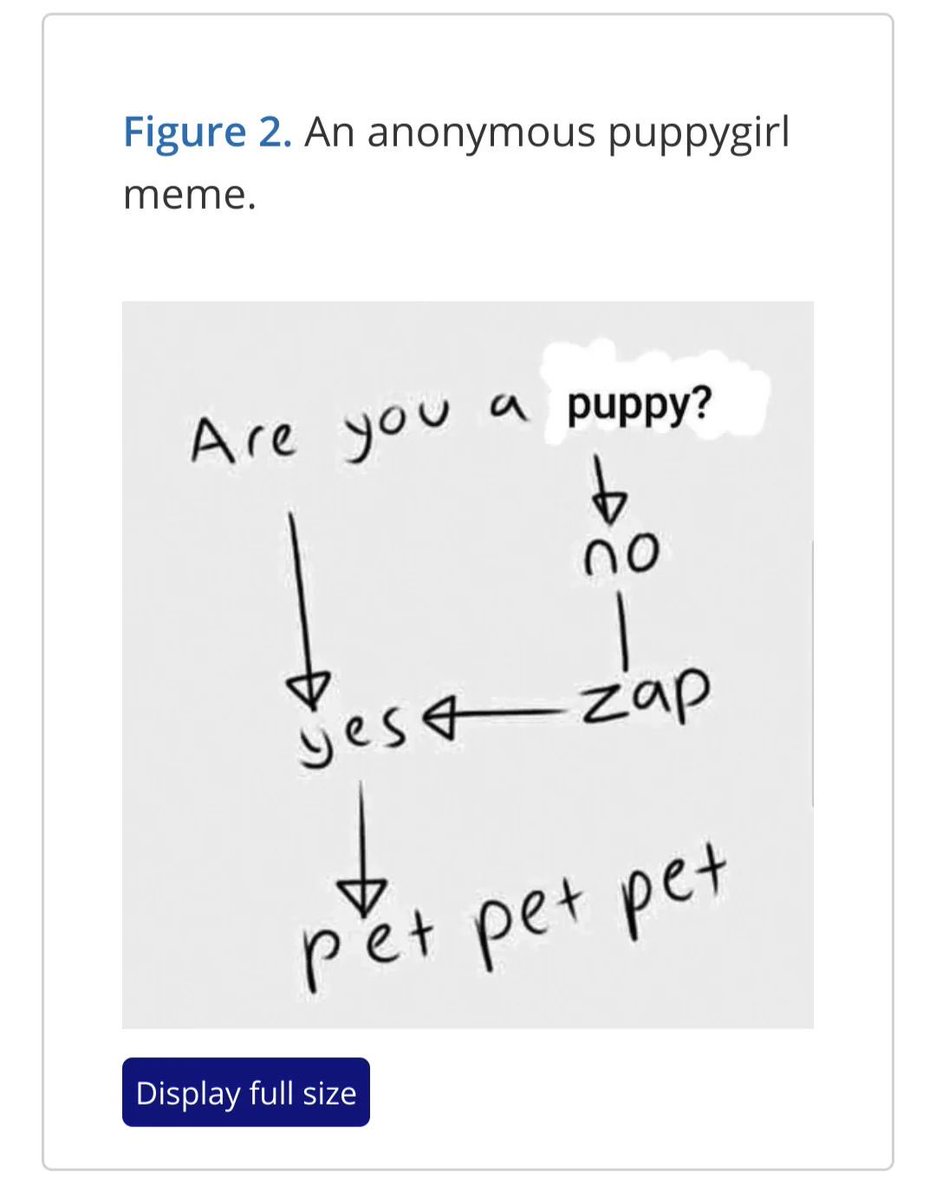 𐂯 your mutt 𐂯 tweet media