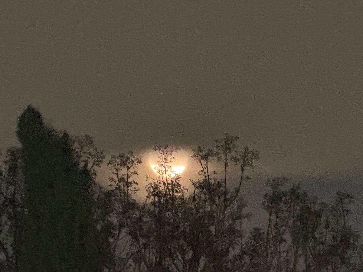 Joaquín Gloria G🇲🇽EdoMex tweet media