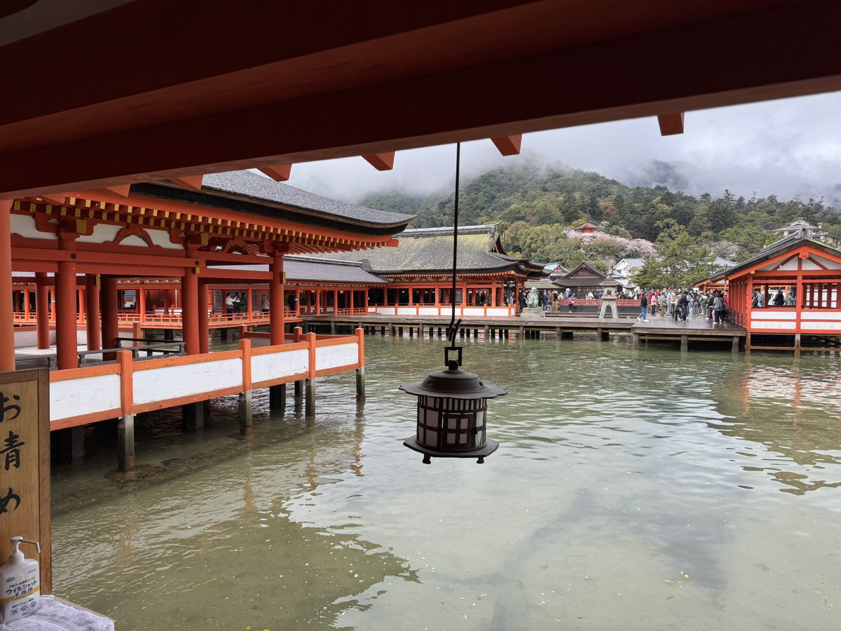 バールのようなもの🐾 tweet media